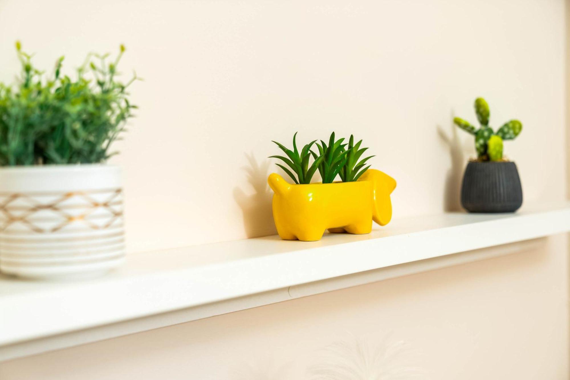 Down To Earth 1 Bedroom Jewellery Quarter - Free Parking